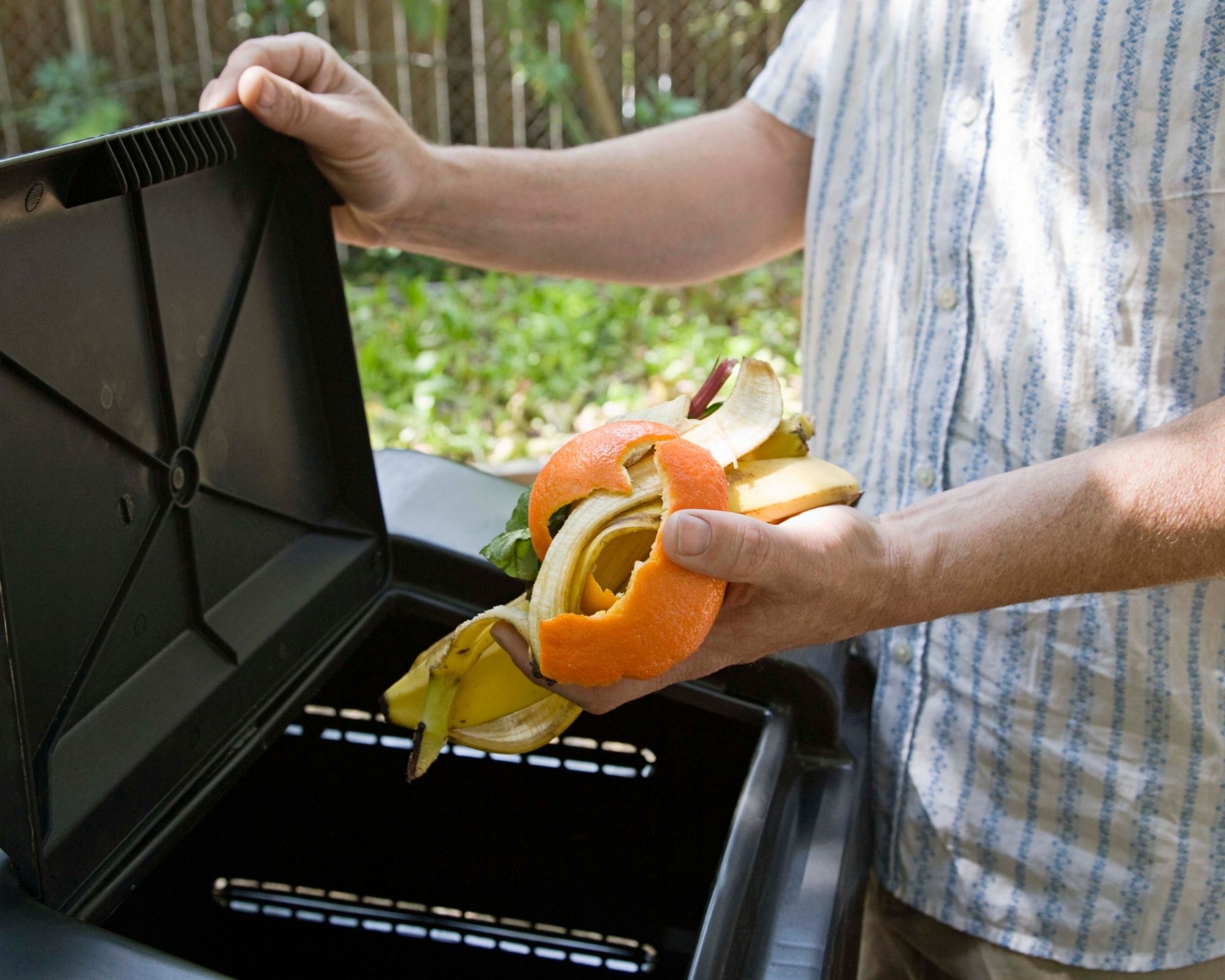 A man depositing orange and banana peels into an organics bin.