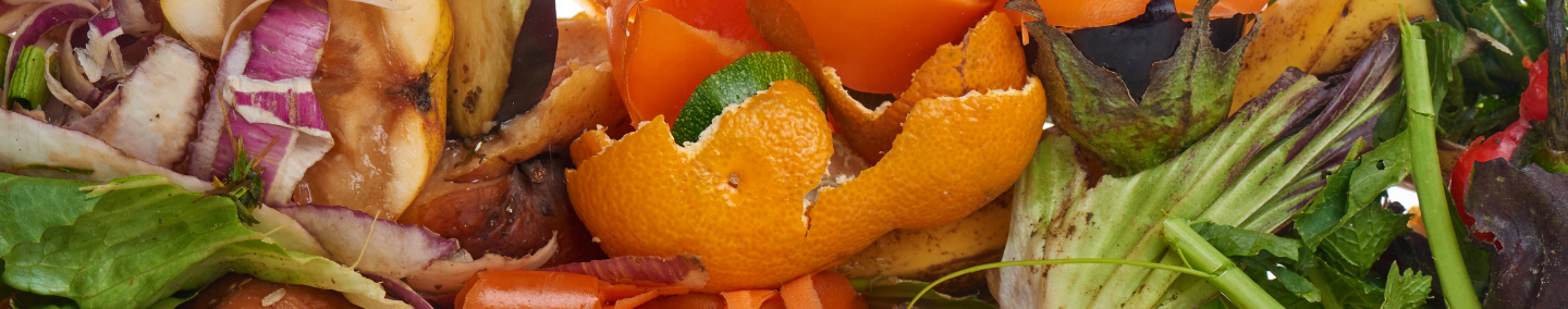 An assortment of food waste; orange peels, onion skin, apples, carrots, banana peel and other greens.
