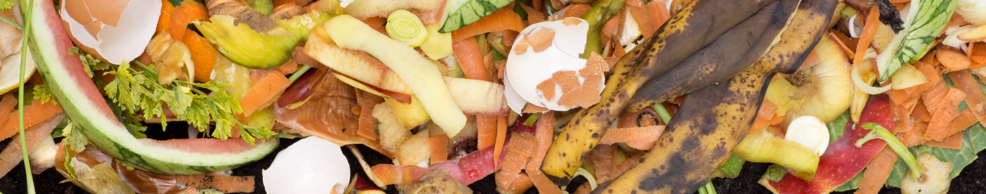 A macro shot of food waste: egg shells, banana peels, carrot shavings, and other small scraps of food.