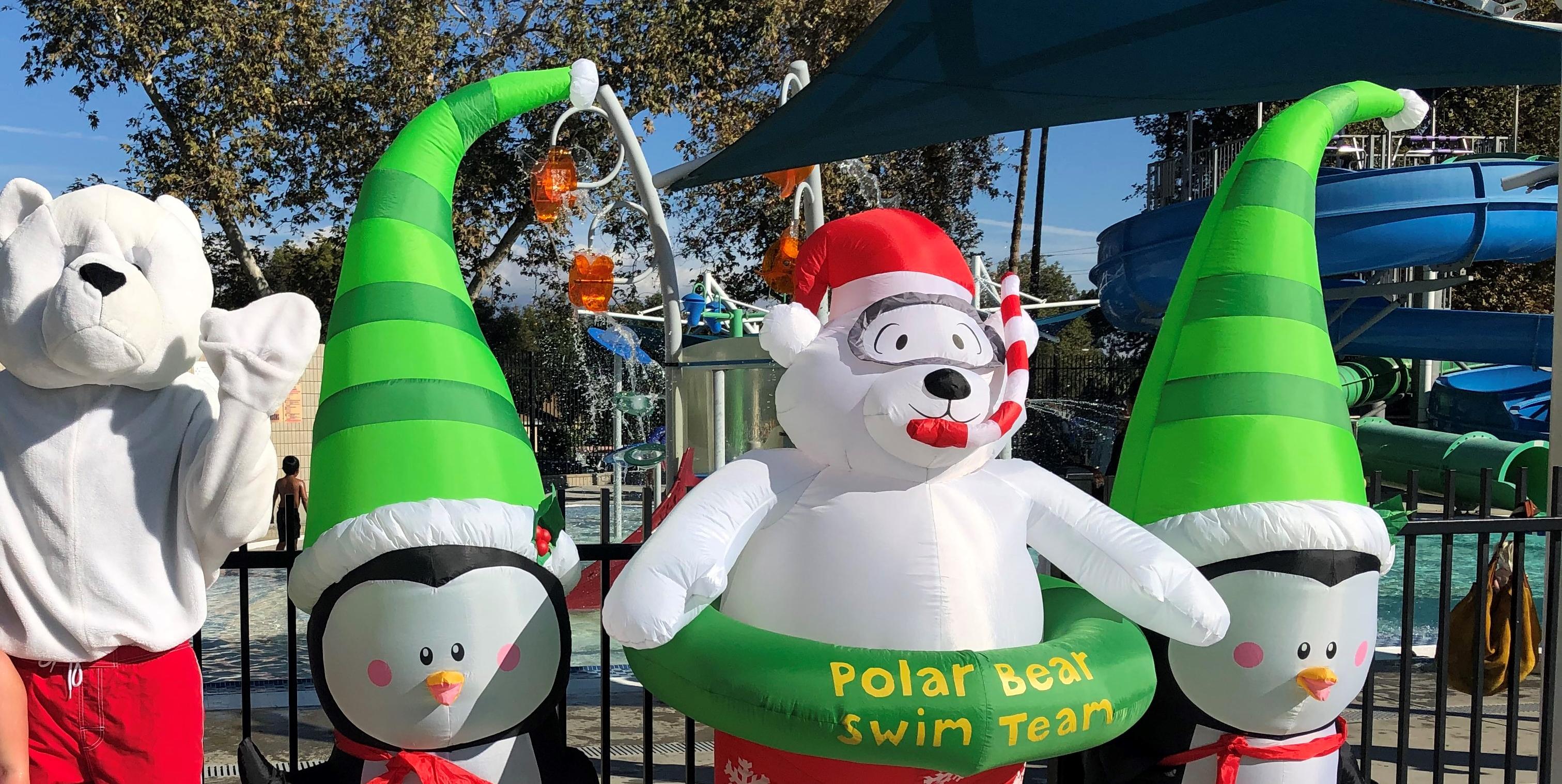 North Pole Plunge - POSTPONED