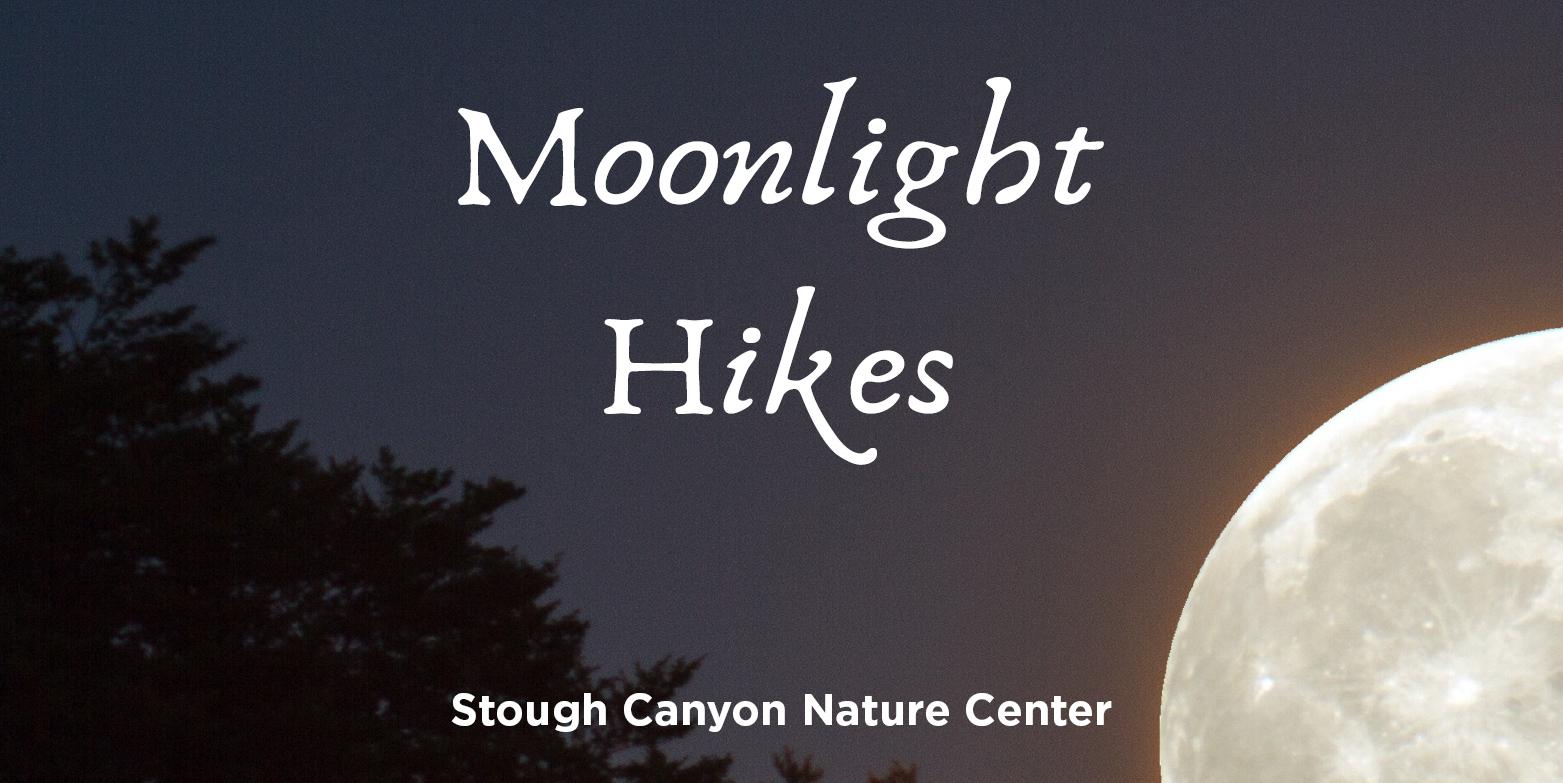 Moonlight Hike