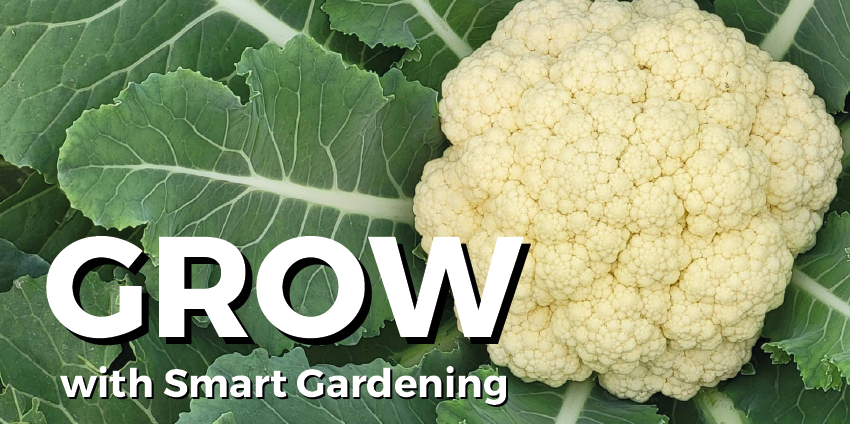 GROW with Smart Gardening - Free Composting 101 Workshop
