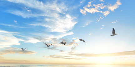 feature image