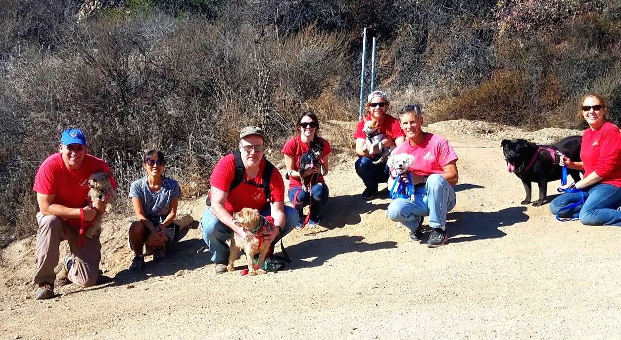 Burbank Animal Shelter Parks & Recreation City of Burbank