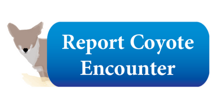 Coyote Awareness - Parks & Recreation - City of Burbank