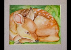 Carousel Image Thumbnail