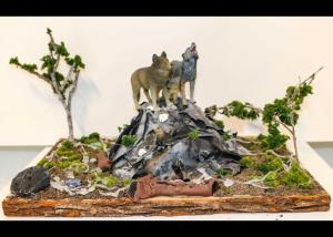 Carousel Image Thumbnail