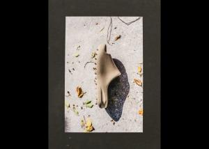 Carousel Image Thumbnail