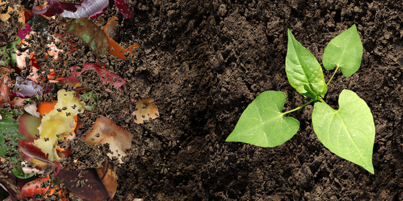 Community Garden: Compost Workday