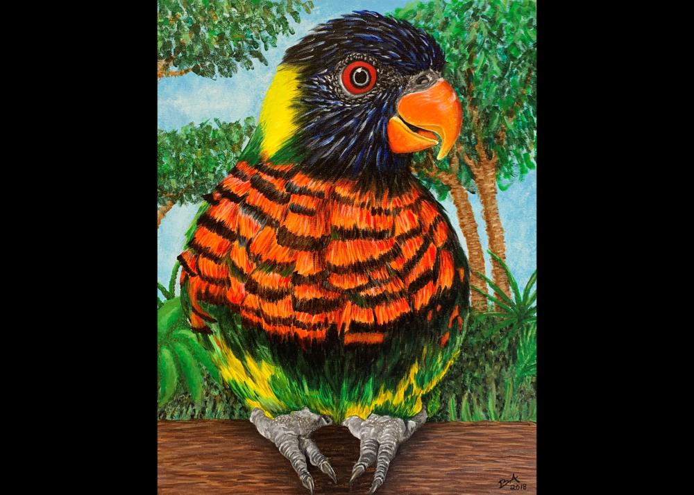 Beth Alcala - Lounging Lorikeet Image