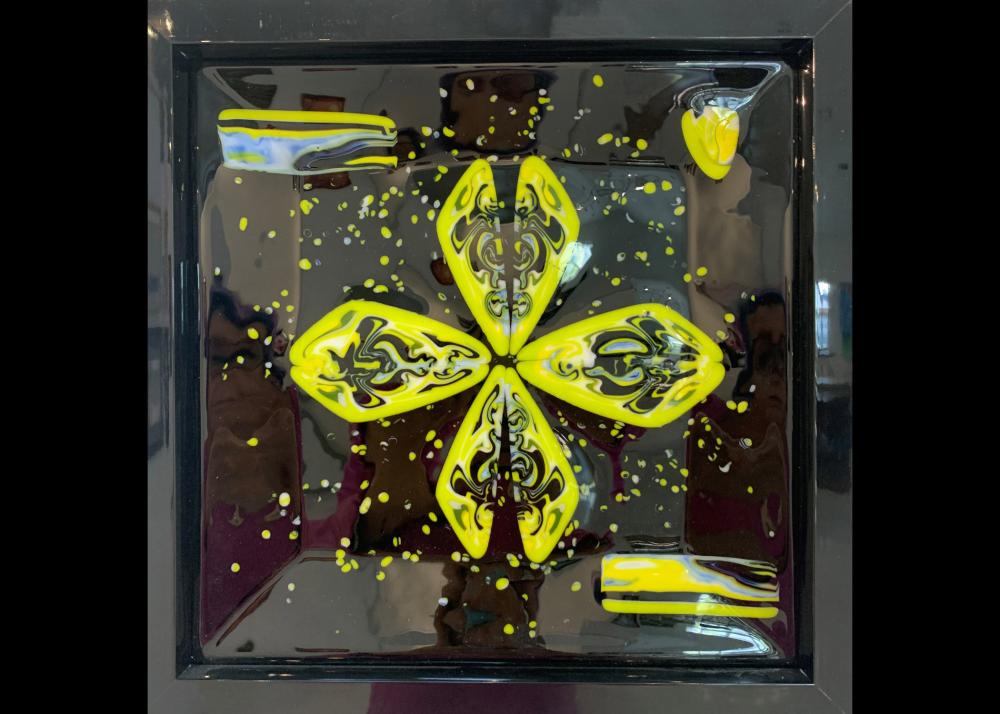 Paula Quasarano - Bulls Eye Image