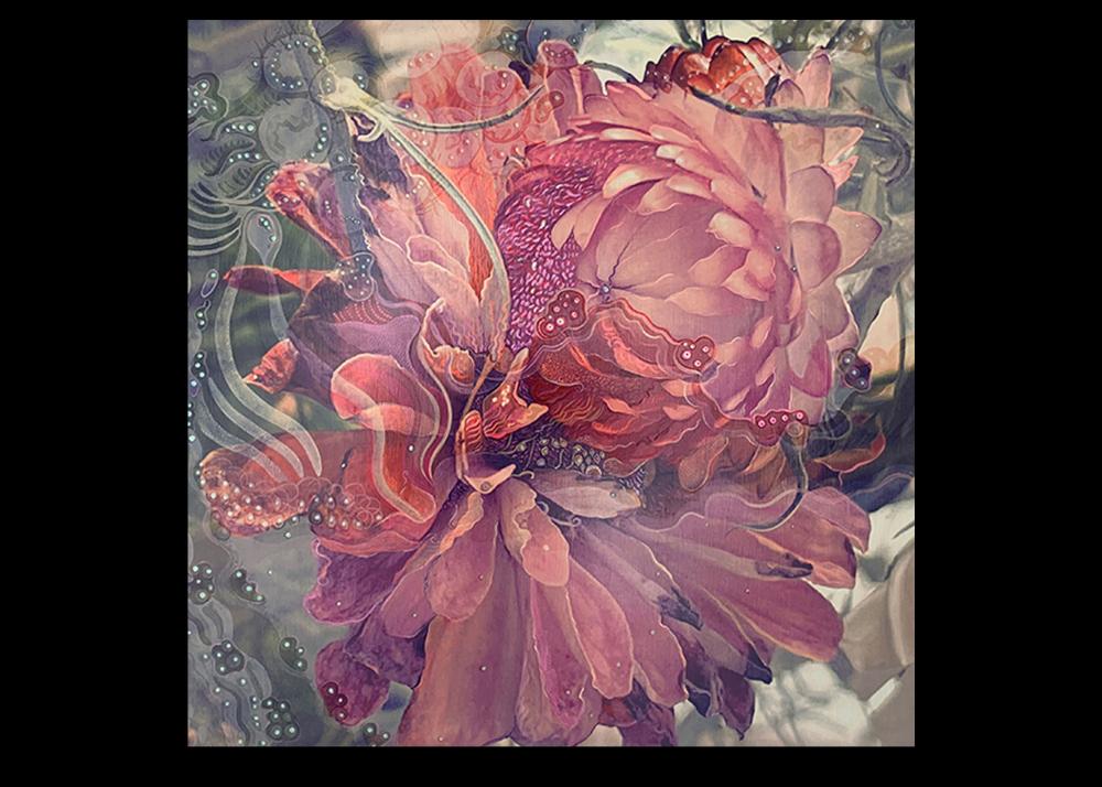 Kerrie Smith- Flora Ficciones-Priscilla Proteana.jpg Image