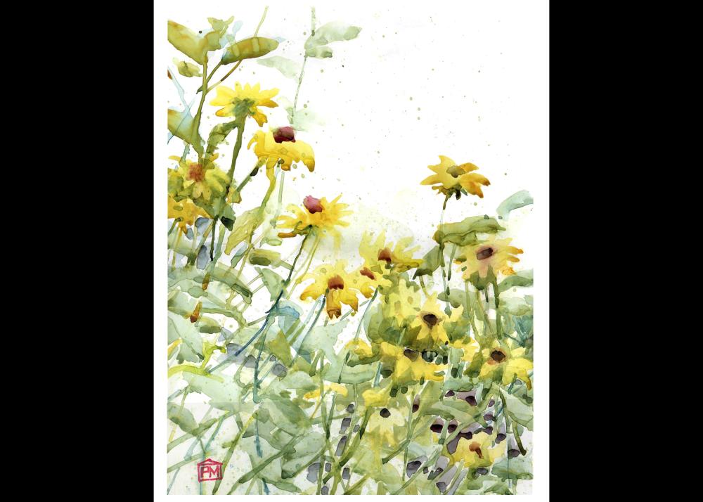 Blackeyed Susans Plein air.jpg Image