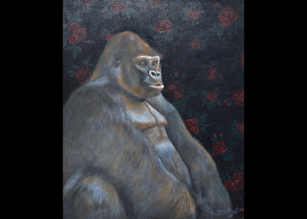 Chris Mallouf - Gorilla Image