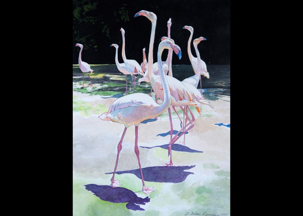 Debra Reynolds Flamboyance Image