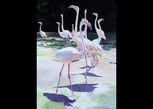Carousel Image Thumbnail