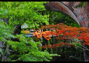 Carousel Image Thumbnail