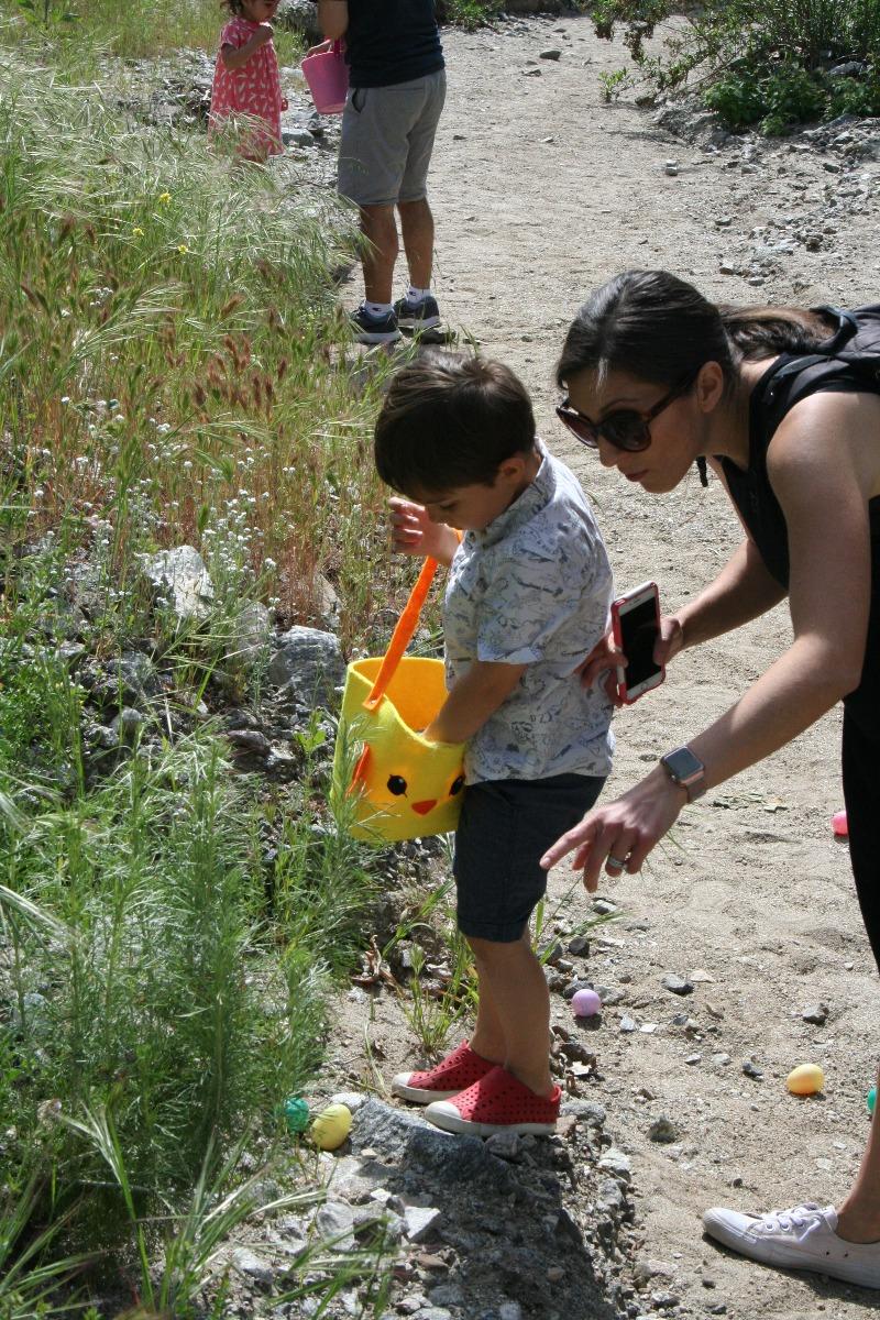 20190407- PR - SCNC -EggSightmentintheWild - Event.jpg Image