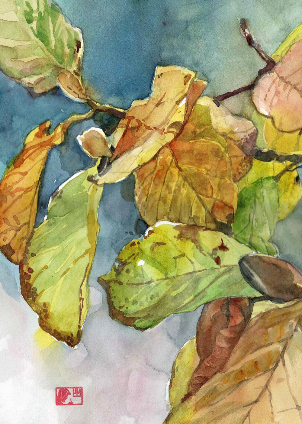 Chinese magnolia leaves-Recovered Image