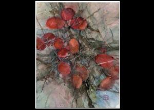 Carousel Image Thumbnail