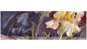 Carousel Image Thumbnail