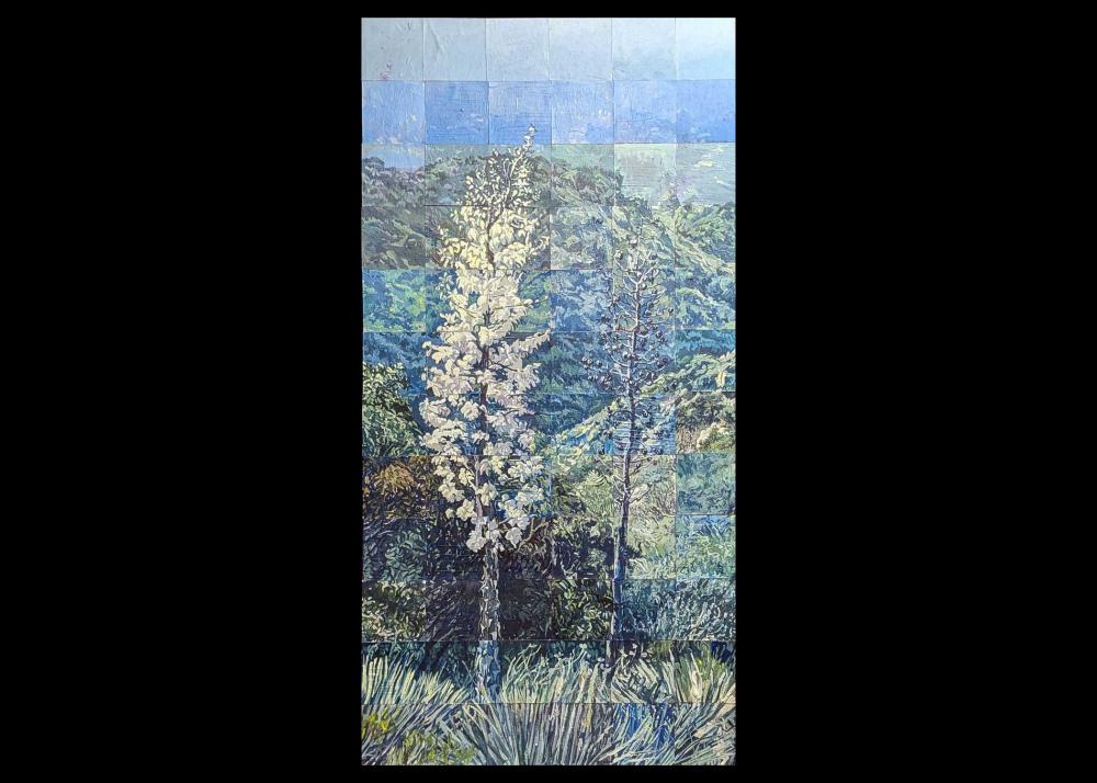 Deukmajian Yucca Image