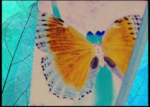 Carousel Image Thumbnail