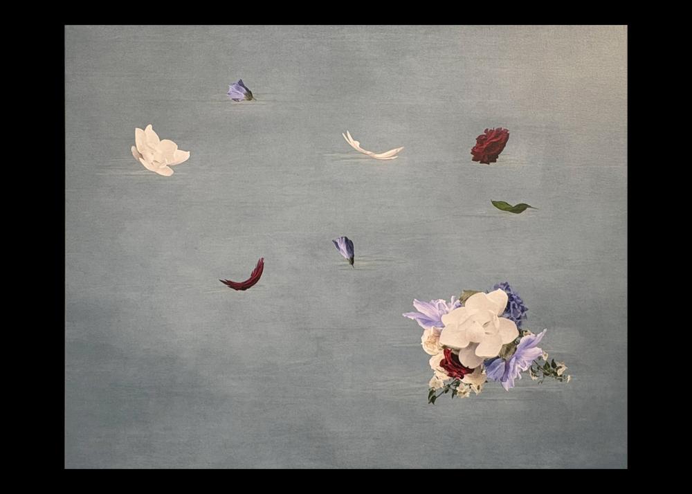 Christine Harris Image