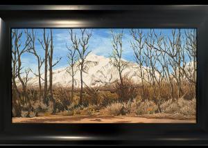 Carousel Image Thumbnail