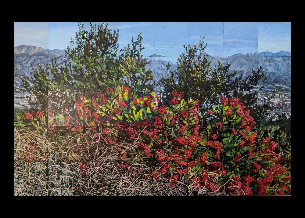 Roger Dolin - Burst of Toyon Image