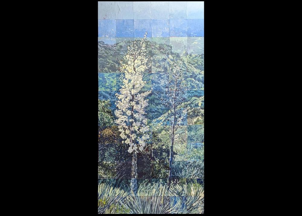 Roger Dolin - Deukmajian Yucca Image