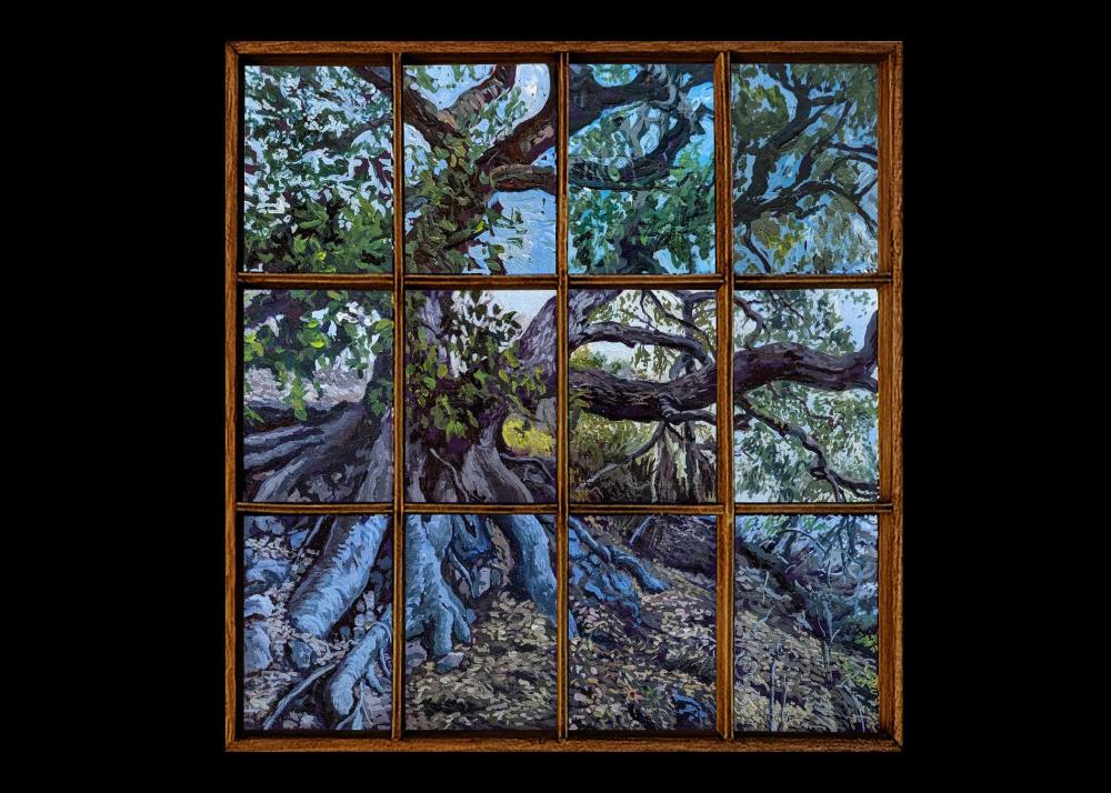 Roger Dolin - Avila Beach Oak Image