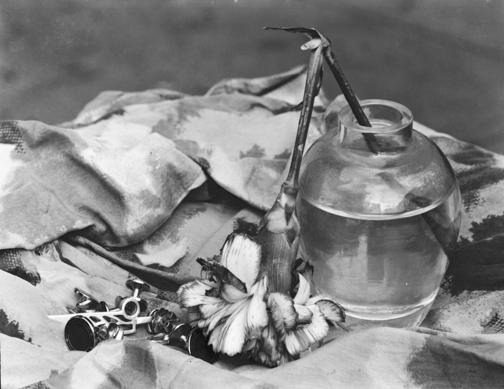 Woods - After the Party Image