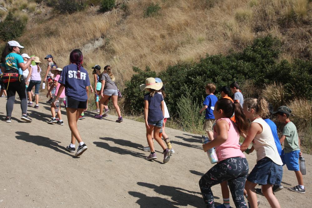 20190730 -PR - SCNC - Summer Camp - Program.jpg Image