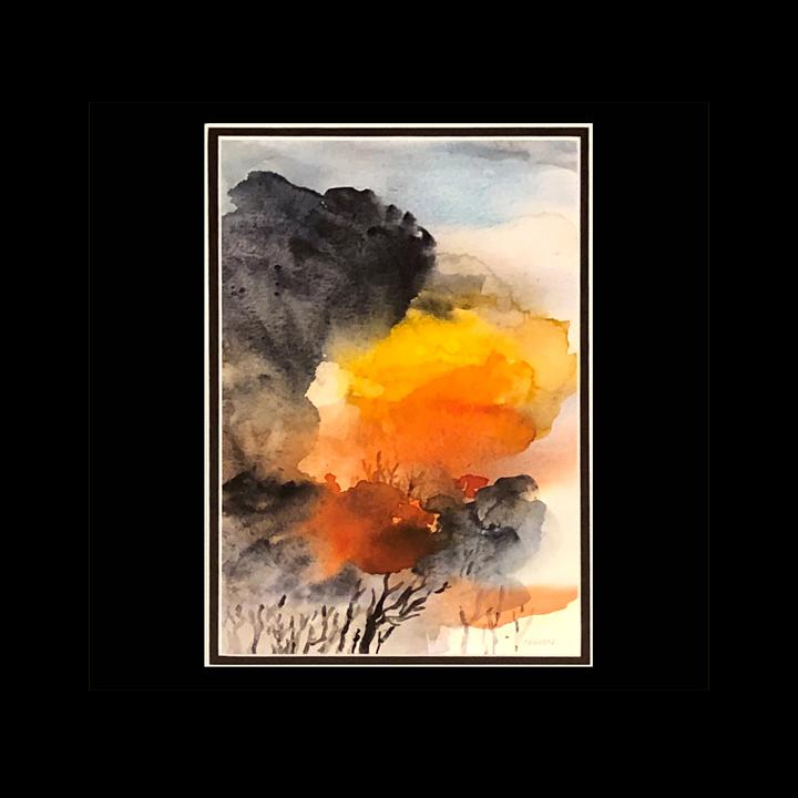 2nd Place, Carol Tensen, 'Wild-Fire' Image
