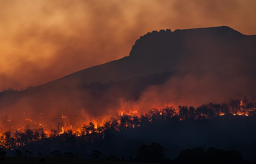forest fire at night with mountain silhouetted