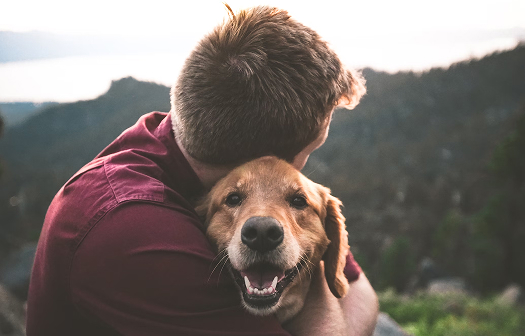 man hugging his dog while outside on a hike