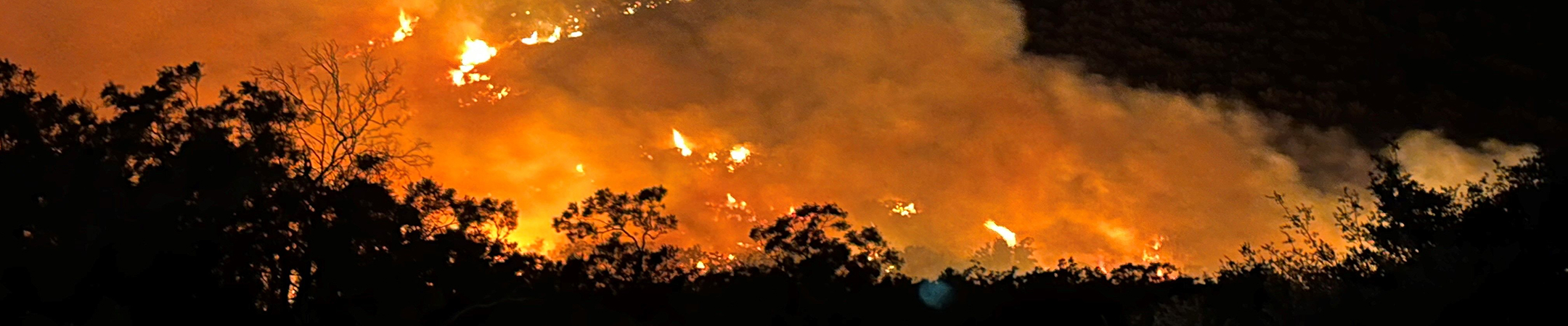 wildfire at night