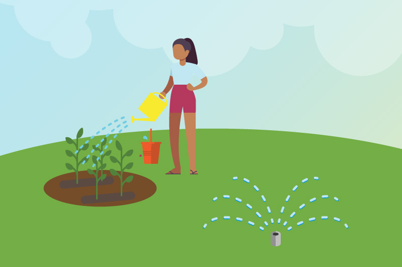 Image of a sprinkler spraying water onto a green lawn.